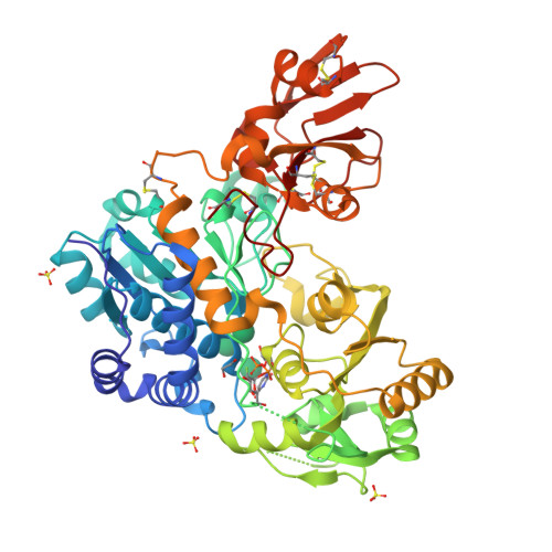 Rcsb Pdb 6yjv Crystal Structure Of Unliganded Mgat5 Alpha 1 6 Mannosylglycoprotein 6 Beta N Acetylglucosaminyltransferase V Luminal Domain With A Lys329 Ile345 Loop Truncation In Complex With Udp 2 Deoxy 2 Fluoroglucose And Biantennary