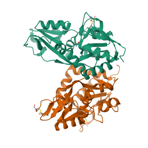 Rcsb Pdb 4ykk Mnemiopsis Leidyi Ml032222a Iglur Lbd D Serine Complex