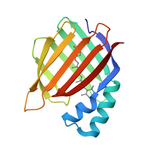 Rcsb Pdb 4ykm Crystal Structure Of The R111k Y134f T54v R132q P39q R59y A32w F3q Mutant Of Human Cellular Retinoic Acid Binding Protein Ii With Retinal At 1 58 Angstrom Resolution