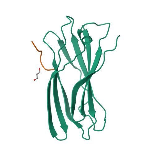 Rcsb Pdb 2ymt Gamma 2 Adaptin Ear Domain Crystal Structure With Phage Peptide Geewgpwv
