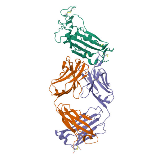 Rcsb Pdb Ym Crystal Structure Of The Sars Cov Receptor Binding Domain In Complex With