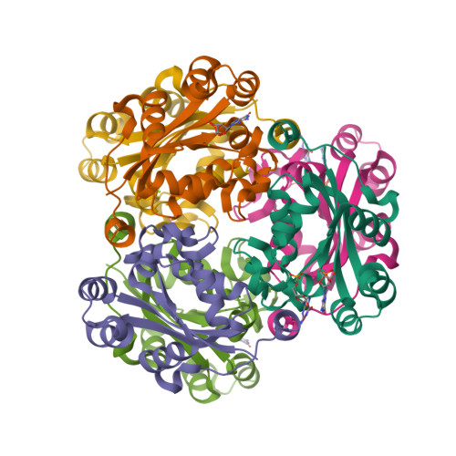 image of structure for 9YN9