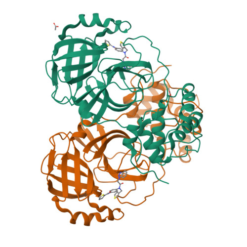 4yoi Structure Of Hku4 3clpro Bound To Non Covalent Inhibitor 1a Rcsb Pdb