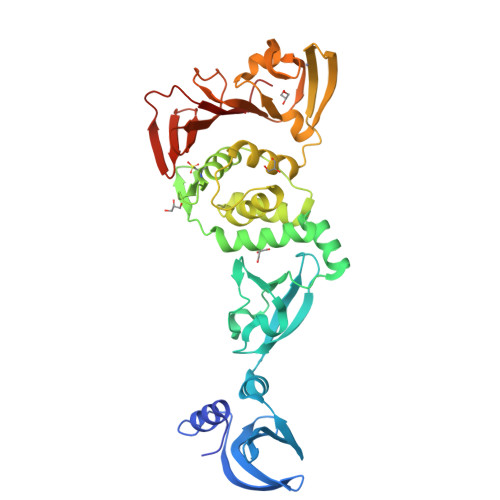 4ypt X Ray Structural Of Three Tandemly Linked Domains Of Nsp3 From Murine Hepatitis Virus At 2 60 Angstroms Resolution Rcsb Pdb