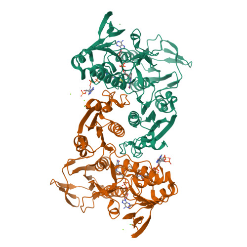 Protein Data Bank: 1YQZ