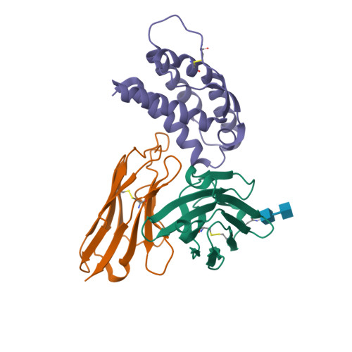 Rcsb Pdb 4yqx Mouse Il 2 Bound To Jes6 1 Scfv Fragment