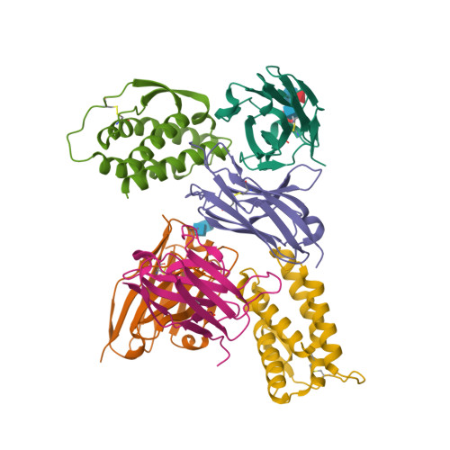 Rcsb Pdb 4yqx Mouse Il 2 Bound To Jes6 1 Scfv Fragment