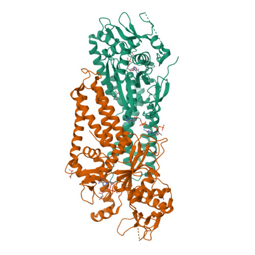 image of structure for 9YS0