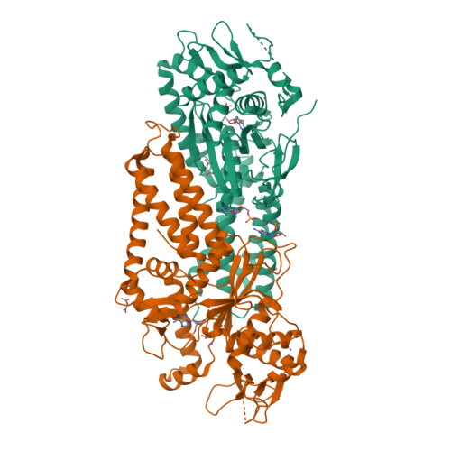 image of structure for 9YS1