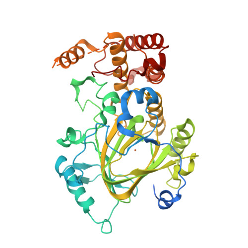 Rcsb Pdb 2yu2 Crystal Structure Of Hjhdm1a Without A Ketoglutarate