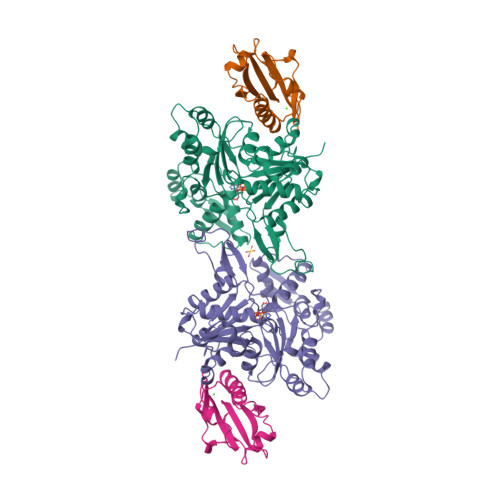 RCSB PDB - 1YVN: THE YEAST ACTIN VAL 