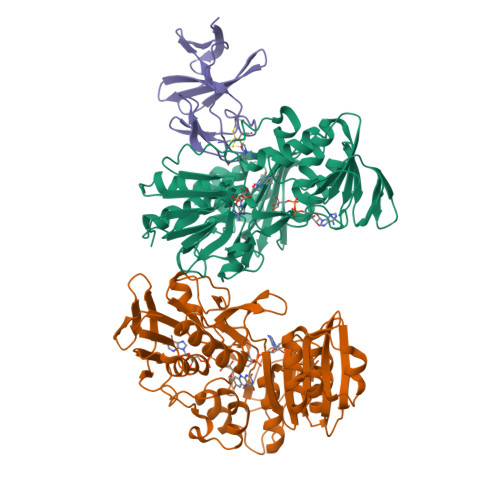 Rcsb Pdb 2yvj Crystal Structure Of The Ferredoxin Ferredoxin Reductase Bpha3 Bpha4 Complex Rcsb Pdb 2yvj Crystal Structure Of The Ferredoxin Ferredoxin Reductase Bpha3 Bpha4 Complex