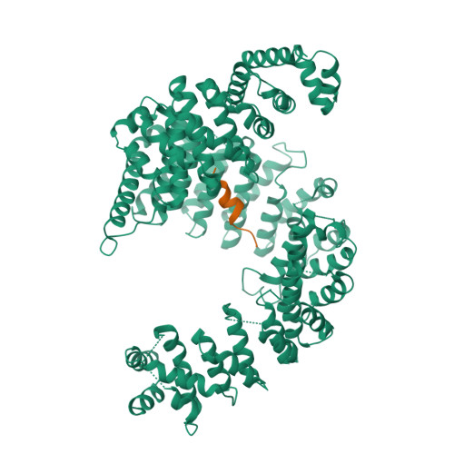 Rcsb Pdb 5yvg Crystal Structure Of Karyopherin Beta2 In Complex With Fus Full Length