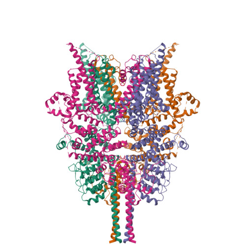 Rcsb Pdb 5yx9 Cryo Em Structure Of Human Trpc6 At 3 8a Resolution