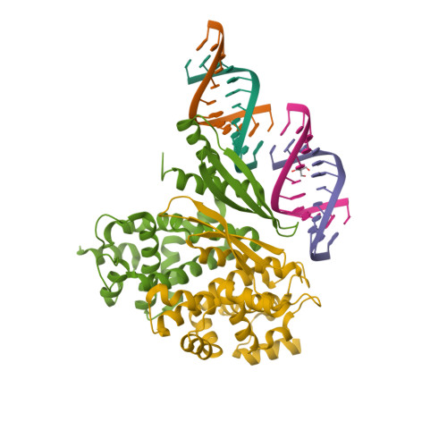 Rcsb Pdb 1yyk Crystal Structure Of Rnase Iii From Aquifex Aeolicus Complexed With Double Stranded Rna At 2 5 Angstrom Resolution