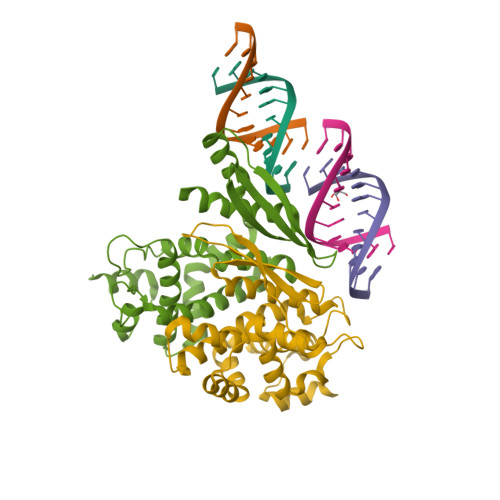 Rcsb Pdb 1yyo Crystal Structure Of Rnase Iii Mutant E110k From Aquifex Aeolicus Complexed With Double Stranded Rna At 2 9 Angstrom Resolution