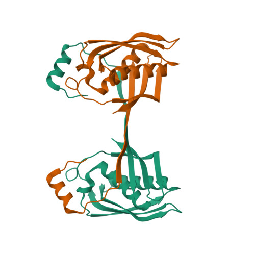 5YZL logo