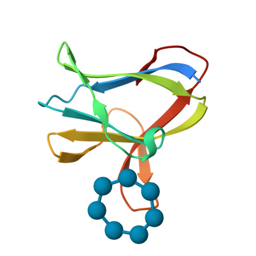 Rcsb Pdb 1z0m The Glycogen Binding Domain Of The Amp Activated Protein Kinase Beta1 Subunit