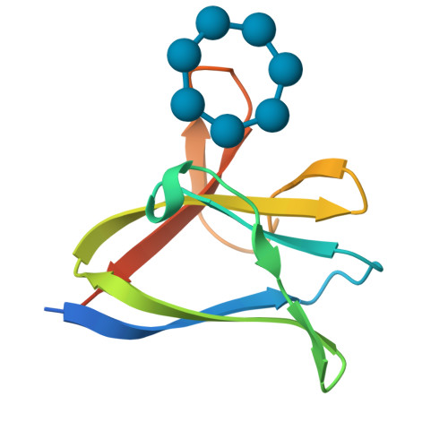 Rcsb Pdb 1z0m The Glycogen Binding Domain Of The Amp Activated Protein Kinase Beta1 Subunit