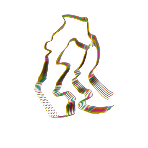 6Z1O logo