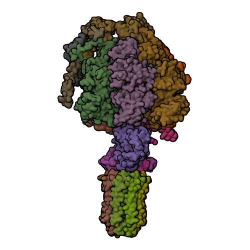 ATP5F1A image