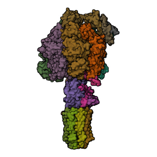 ATP5F1D image