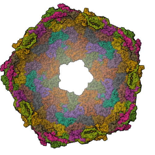 Rcsb Pdb Homepage Rcsb Pdb Homepage