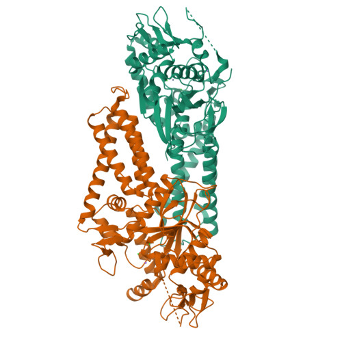 image of structure for 9Z4D