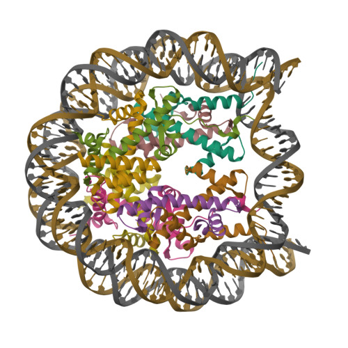 Rcsb Pdb 4z5t The Nucleosome Containing Human H3 5