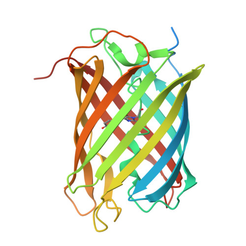 Rcsb Pdb 2z6z Crystal Structure Of A Photoswitchable Gfp Like Protein Dronpa In The Bright State