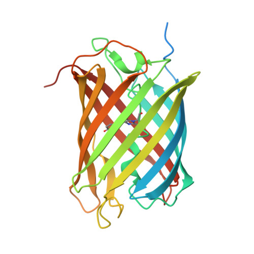 Rcsb Pdb 2z6z Crystal Structure Of A Photoswitchable Gfp Like Protein Dronpa In The Bright State