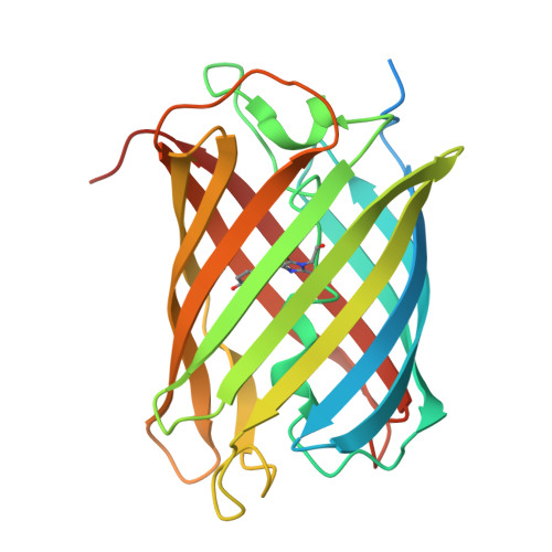 Rcsb Pdb 2z6z Crystal Structure Of A Photoswitchable Gfp Like Protein Dronpa In The Bright State