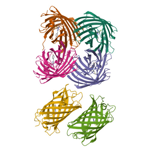 Rcsb Pdb 2z6z Crystal Structure Of A Photoswitchable Gfp Like Protein Dronpa In The Bright State