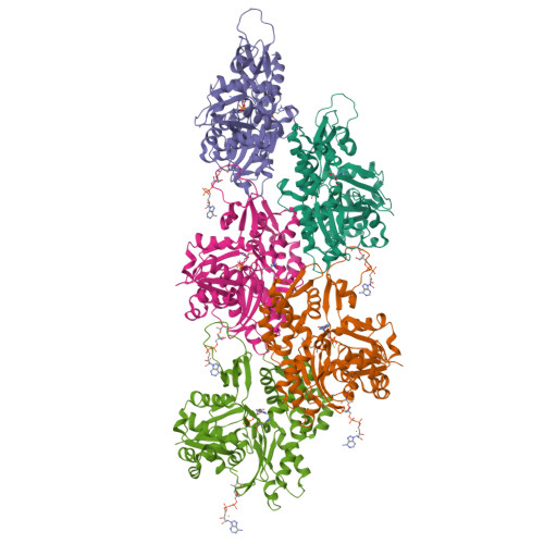 RCSB PDB: Homepage