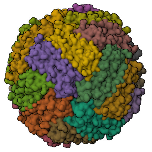 Rcsb Pdb 6z9f 1 56 A Structure Of Human Apoferritin Obtained From Data Subset Of Titan Mono Bcor Microscope