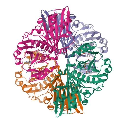 image of structure for 9Z9C