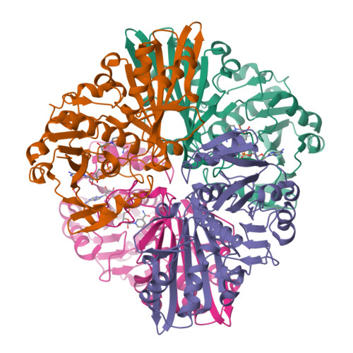 image of structure for 9ZAO