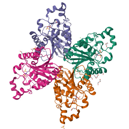 image of structure for 9ZAX