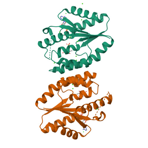 Rcsb Pdb 5zb4 Crystal Structure Of Thymidylate Kinase In Complex With Adp And Tmp From Thermus Thermophilus Hb8