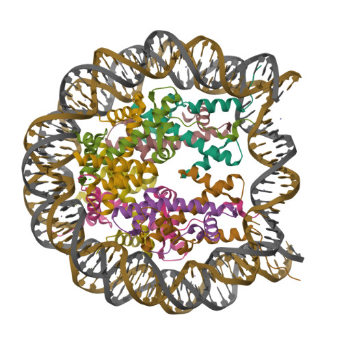 Rcsb Pdb 5zbx The Crystal Structure Of The Nucleosome Containing Histone H3 1 Catd V76q K77d