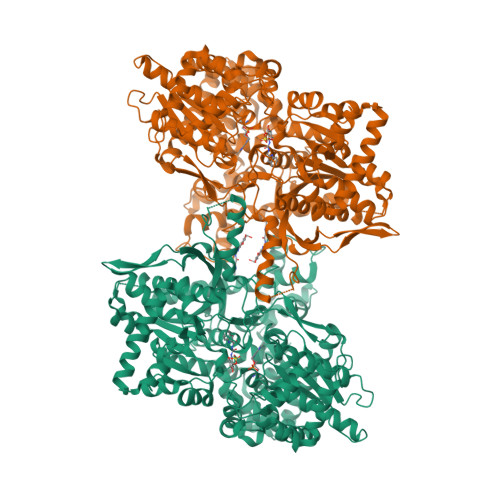 Rcsb Pdb 3zcv Rabbit Muscle Glycogen Phosphorylase B In Complex With N Indol 2 Carbonyl N Beta D Glucopyranosyl Urea Determined At 1 8 A Resolution