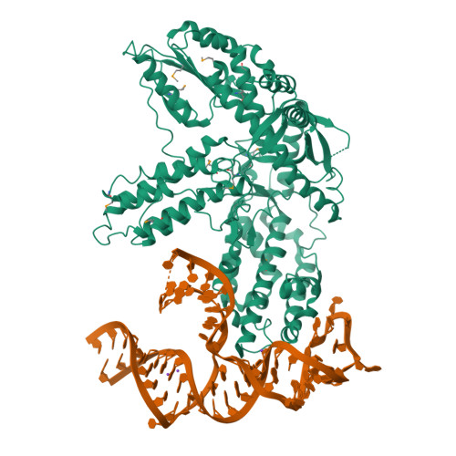 6ZDP assembly