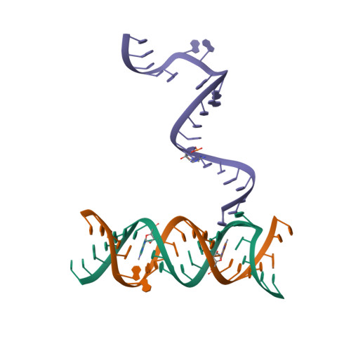 5ZEG logo