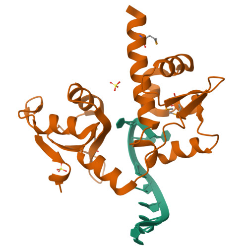 1ZH5 assembly
