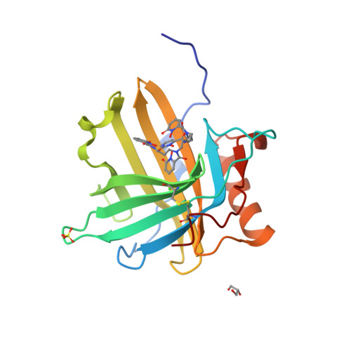 Rcsb Pdb 4zhg Siderocalin Mediated Recognition And Cellular Uptake Of Actinides