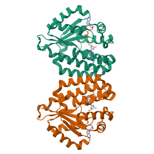 Rcsb Pdb 2zi4 C4s Dck Variant Of Dck In Complex With L Da Adp