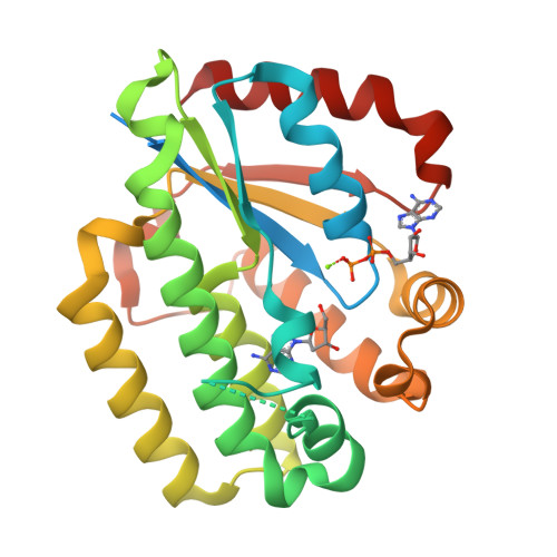 Rcsb Pdb 2zi4 C4s Dck Variant Of Dck In Complex With L Da Adp