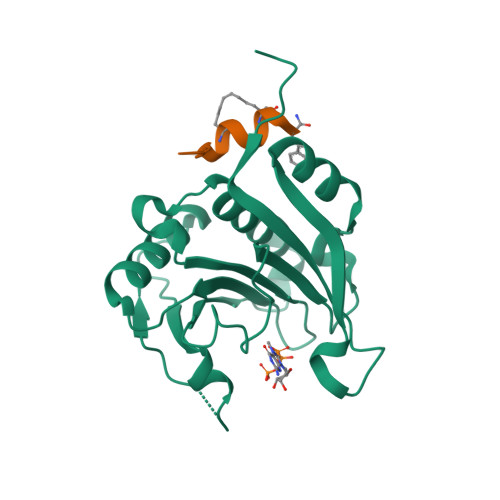 5ZJZ logo