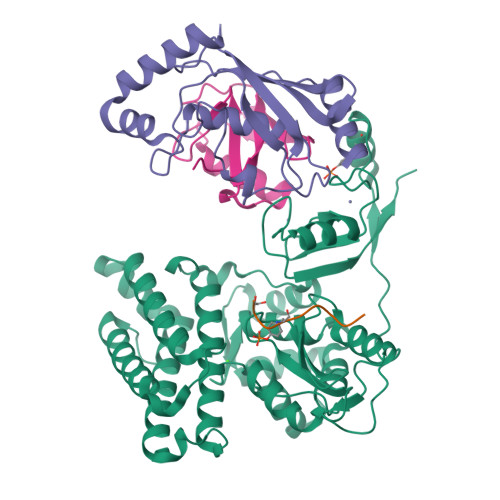 Rcsb Pdb 3zni Structure Of Phosphotyr363 Cbl B Ubch5b Ub Zap 70 Peptide Complex