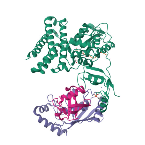 Rcsb Pdb 3zni Structure Of Phosphotyr363 Cbl B Ubch5b Ub Zap 70 Peptide Complex